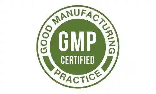 Java Brain GMP Certified